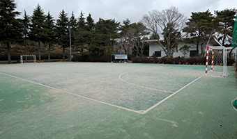 Recreational Sports Field