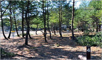 Disc Golf Course