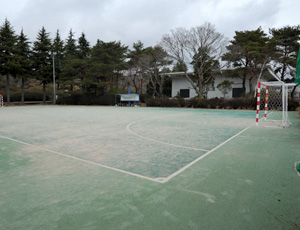 Recreational Sports Field 